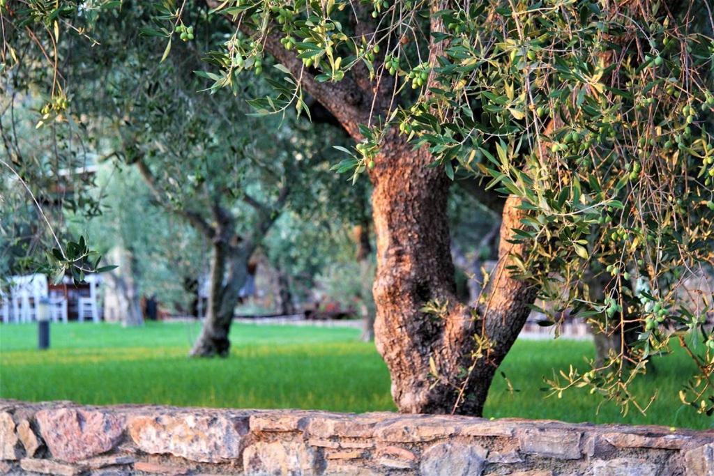 Liotrivi Historical Mansion And Boutique Hotel Monemvasia Exterior photo